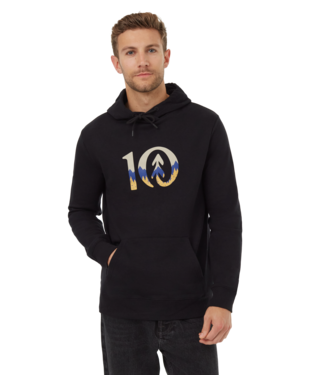 Ten Tree Mens Mountain Logo Hoodie