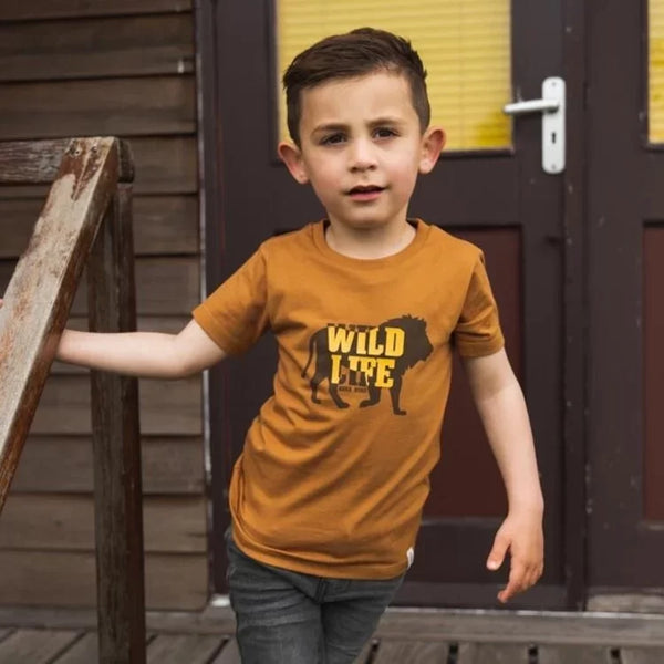 OK Kids Brown Lion Tshirt